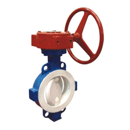 國(guo)标襯氟(fu)閥門（對(dui)夾）