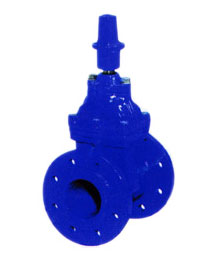 彈(dan)性座封(feng)閘閥2