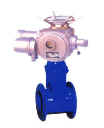 彈(dan)性座封(feng)閘閥3