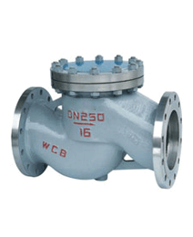 升降(jiang)式止回閥(fa)